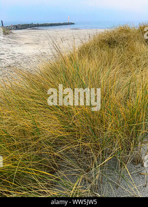 Paysage de dunes à la spa de la mer Baltique, humide, Schleswig-Holstein, Allemagne Banque D'Images