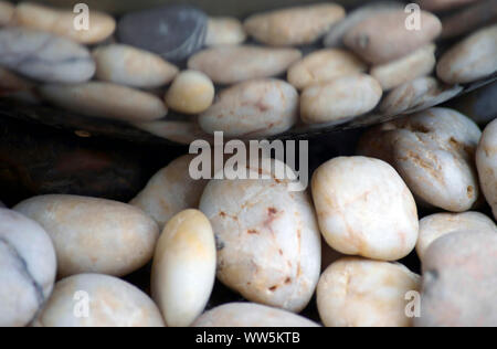 Close-up de cailloux dans une fontaine, Banque D'Images