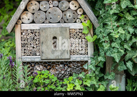 Hôtel d'insectes pour les abeilles solitaires, hôtel d'abeilles dans un jardin, plante inepante Hedera Bug Hotel jardin adapté aux abeilles Banque D'Images