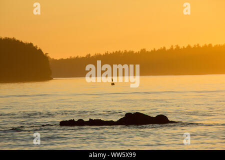 Coucher du soleil à Long Beach, Tofino, Vancouver Island, British Columbia, Canada Banque D'Images