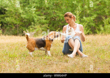 Portrait du Beagle adorable debout près de sa propriétaire, jeune femme séduisante, avec blanc fluffy cat sur ses genoux. Cat de toucher le nez avec son chien paw. Banque D'Images