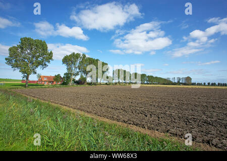 À l'avenue des champs récoltés dans la Frise orientale près de Krummhoern Schafflund. Banque D'Images