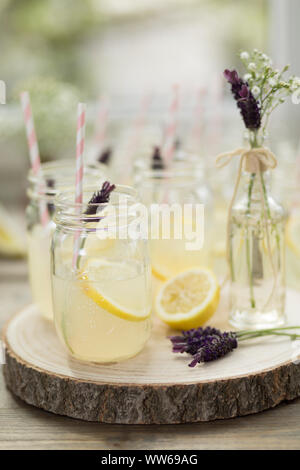 Coupe d'arbres, les bocaux Mason, limonade, vase, lavande Banque D'Images