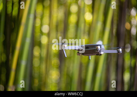 Drone dans bambouseraie, clôture bambou vert texture background, incense Banque D'Images