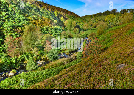Blake Doyen, Hardcastle Crags, Hebden Bridge, South Yorkshire Pennines, Banque D'Images