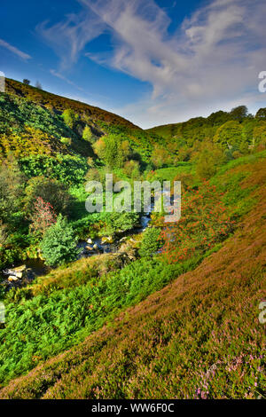 Blake Doyen, Hardcastle Crags, Hebden Bridge, South Yorkshire Pennines, Banque D'Images