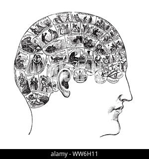 1880 La PHRÉNOLOGIE ILLUSTRATION DE PRÉDIRE DES CARACTÉRISTIQUES MENTALES COMPLEXES DU CERVEAU PAR LA LECTURE DES BOSSES SUR LE CRANE - s25063 HAR001 HARS système abstrait de l'histoire de vie LES FEMMES CRÂNE MENTALE PERSONNES CHERS HOMMES DE CARACTÈRE DE DIVERTISSEMENT SYMBOLES 1800 OCCUPATION CATASTROPHE EMPLACEMENT DÉCOUVERTE LOISIRS CONNAISSANCES MANUEL PRÉDIRE FAUX PAR DES DESSINS SUR L'AUTORITÉ DU 19E SIÈCLE CONCEPT PROFESSIONS SORT conceptuel complexe caractéristique caractéristiques médecin prédire des caractéristiques symboliques IDÉES CONCEPTS Bosses 1883 l'esprit de conviction l'origine ethnique caucasienne HAR001 REPRÉSENTATION À L'ANCIENNE Banque D'Images