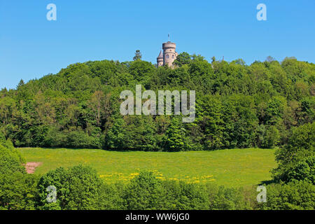 Allemagne, Thuringe, Meiningen, Château Landsberg Banque D'Images