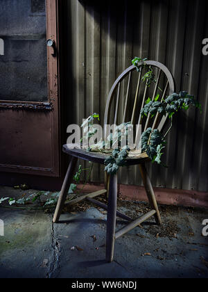 Vieille porte grillagée et chaise avec vigne sur véranda de nuit Banque D'Images