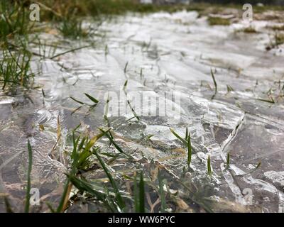 Flaque d'eau gelée sur une prairie / champ dans l'Eifel, en Allemagne avec l'herbe gelée Banque D'Images