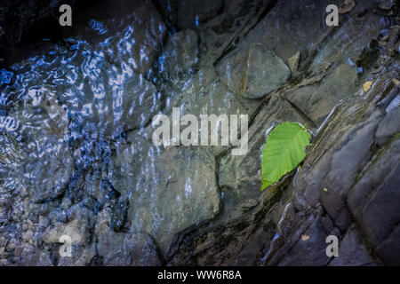 Excursion de trekking dans le froid et d'eaux cristallines de la chute d'Ghiaccioni Chianni, dans la municipalité de Castellina Marittima, Pise, Toscane Banque D'Images