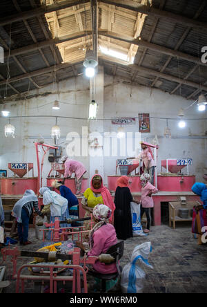 Les gens de l'Érythrée pour moudre les céréales apportant dans un moulin, région centrale, Asmara, Erythrée Banque D'Images