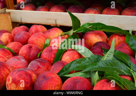 Produits frais et humide de pêches et de feuilles dans des caisses en bois sur wholsale market Banque D'Images