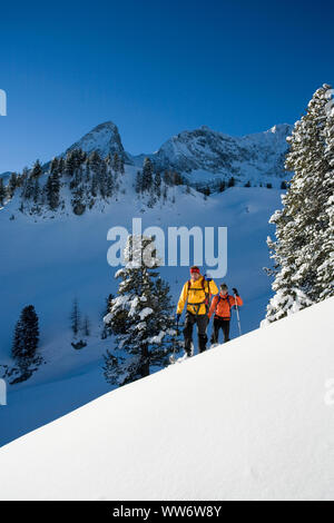 Les alpinistes à Torhelm à ski, Alpes de Zillertal, Tyrol, Autriche Banque D'Images