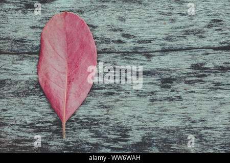 Feuilles rouges sur l'ancien plancher en bois avec de beaux dessins. Banque D'Images