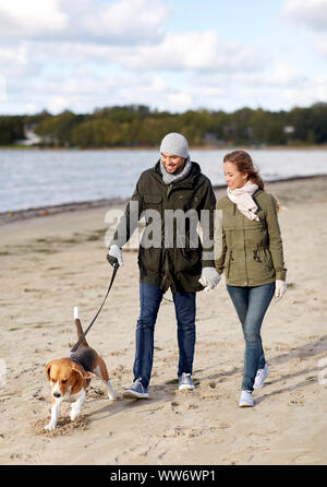 Couple avec chien beagle à marcher le long de la plage d'automne Banque D'Images