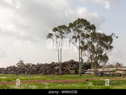 Char militaire cimetière, région centrale, Asmara, Erythrée Banque D'Images