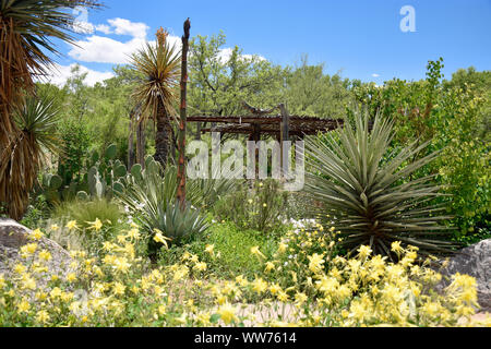 Desert Cactus and Succulent Jardin conservatoire au Nouveau Mexique Banque D'Images