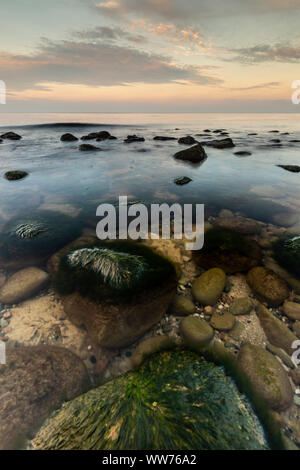 L'Europe, la Pologne, la Poméranie, Cap Rozewie / RixhÃ¶ft beach, pierres Banque D'Images