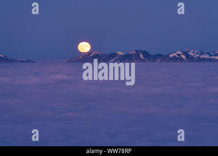 Vue d'une pleine lune au-dessus de Jachenau Simetsberg Mountain, près de Wallgau, Haute-Bavière, Bavière, Allemagne Banque D'Images