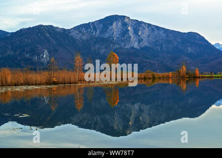 Réflexion sur le lac d'automne, Eichsee Hallenbadstrasse 5 Mountain, près de Kochel, Loisach Kochelsee tourbières, Haute-Bavière, Bavière, Allemagne Banque D'Images