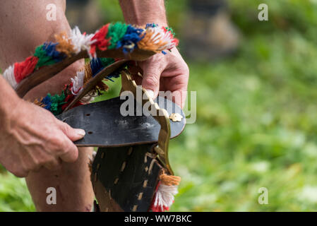 Viehscheid' après Almabtrieb cérémonial (en descendant de bêtes à l'estive dans la vallée de l'automne) à la fin de l'été en Bavière. agriculteur ferme la boucle du collier Banque D'Images