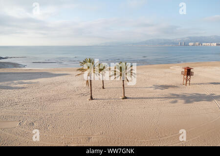 Trois palmiers sur la plage de Faro de Cullera, près de Benidorm, Alicante, Spain, Europe Banque D'Images