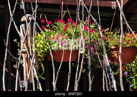 Des bâtonnets en bois brut naturel unique créer clôture rustique ; paniers de fleurs suspendus ; 114 East 1st St., Salida, Colorado, USA Banque D'Images