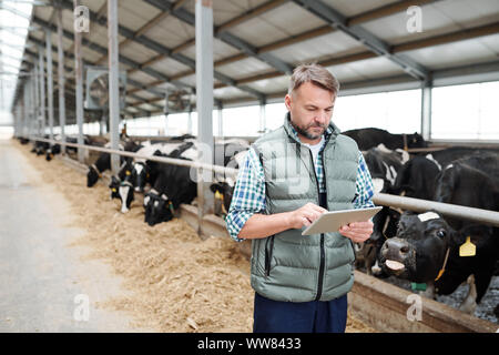 Travailleur de sexe masculin de la ferme des animaux contemporain using digital tablet Banque D'Images