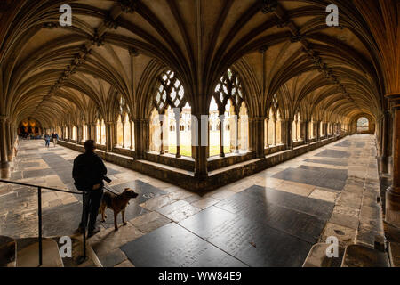 L'homme et le chien se tenant à l'intersection de deux côtés d'un carré de cloîtres à cathédrale de Norwich montrant la complexité des plafonds à poutres apparentes. Banque D'Images