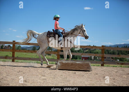 Le Tween au galop sur l'arène en plein air Banque D'Images