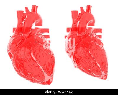 Coeur dans la diastole et la systole, illustration Banque D'Images