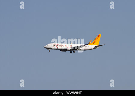 ISTANBUL, TURQUIE - Juillet 03, 2019 : Pegasus Airlines Boeing 737-82R CN (63705) à l'atterrissage de l'aéroport Sabiha Gökçen. Banque D'Images