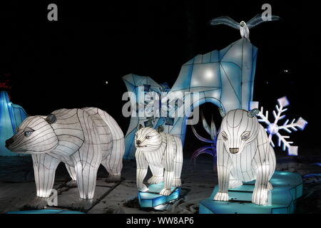 Festival de lanternes chinoises. Famille de l'ours polaire. Banque D'Images