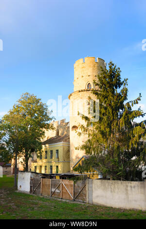 Laa an der Thaya, château de Weinviertel (quart de vin), Basse Autriche, Autriche Banque D'Images