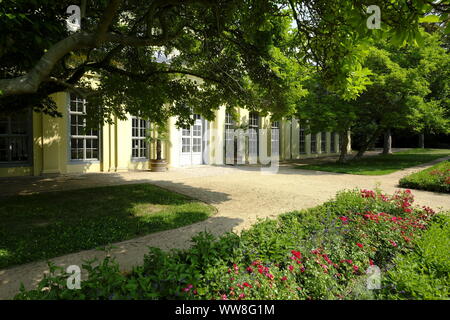 Résidence Altenburg château avec parc et l'orangerie dans la ville d'Altenburg skat, Thuringe, Allemagne Banque D'Images