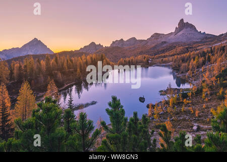 À l'automne, avec le Lac Federa mélèzes jaune autour, Croda da Lago, Cortina d'Ampezzo, Belluno, Dolomites, Veneto, Italie Banque D'Images