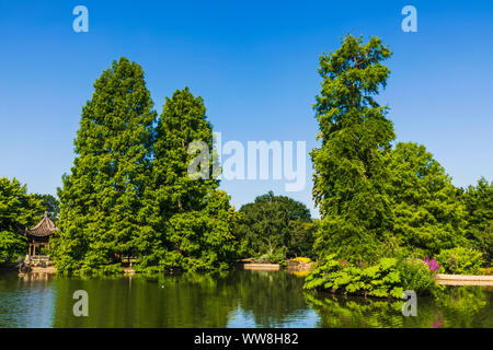 L'Angleterre, Surrey, Guildford, Wisley, la Royal Horticultural Society, le jardin de 3 hectares étang et la Pagode Japonaise Banque D'Images