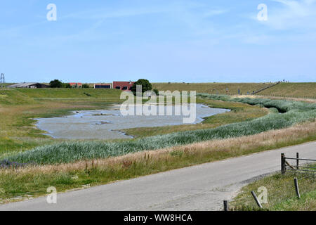 vue sur un étang avec une route et une clôture devant et une digue et des maisons en arrière-plan Sur l'île de Texel (pays-Bas) Banque D'Images