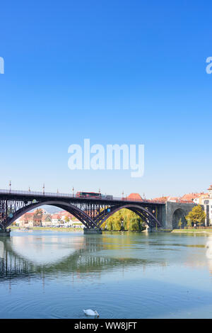 Maribor (Marburg an der Drau), rivière Drava, pont principal plus Glavni, Vieille Ville, Quartier Carême, de cygnes dans Stajerska (Styrie), Slovénie Banque D'Images