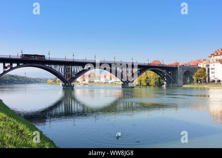 Maribor (Marburg an der Drau), rivière Drava, pont principal plus Glavni, Vieille Ville, Quartier Carême, de cygnes dans Stajerska (Styrie), Slovénie Banque D'Images