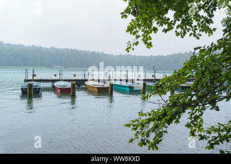 Bateaux sur la rive du lac le matin, le lac Stechlinsee GroÃŸer, 33, Rheinsberg, Ruppin, Brandebourg, Allemagne Banque D'Images