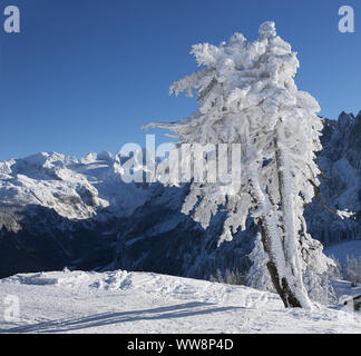 La neige et des arbres couverts de givre dans la région de ski Dachstein Ouest, région du Salzkammergut, Haute Autriche, Autriche Banque D'Images