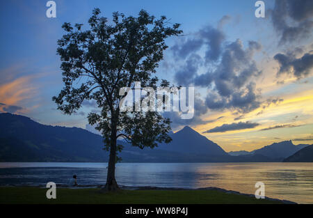 Coucher du soleil sur le lac de Thoune, Oberland Highlands, Canton de Berne, Suisse Banque D'Images