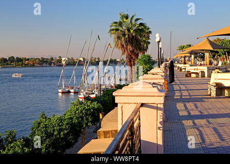 Promenade le long des rives du Nil, Louxor, Égypte, l'Égypte Banque D'Images