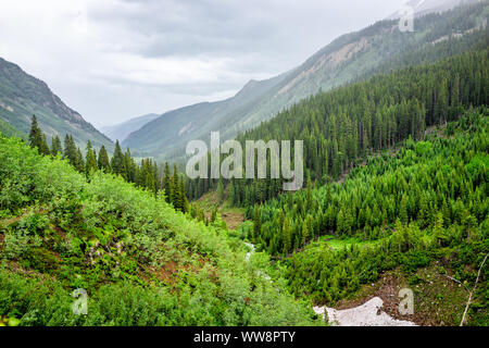 Meadow Valley et vue sur la rivière de la neige sur le sentier du ruisseau énigme à Aspen, Colorado en 2019 avec l'été plantes luxuriantes vert par jour nuageux Banque D'Images