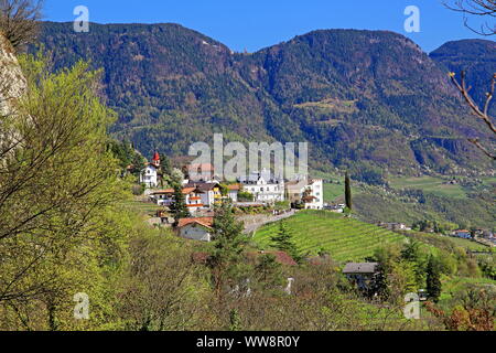 Vue sur le village avec vigne contre Hafling, Dorf Tirol, Burggrafenamt, Tyrol du Sud, Italie Banque D'Images