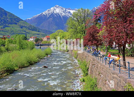 Passerpromenade pic 3006m par rapport à l'objectif du groupe, Meran, Texel, Etschtal Burggrafenamt, Tyrol du Sud, Italie Banque D'Images