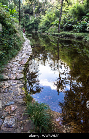 Paysage le long chemin à tan Tinh Yeu cascade qui se trouve dans le Parc National de Hoang Lien près de Sapa Vietnam Asie Banque D'Images