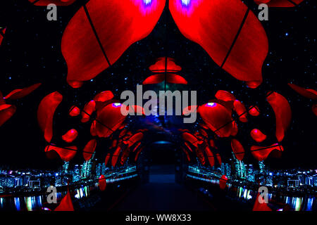 Le néon et artistique coloré fond d'écran graphique moderne toile sur panneau lumineux Banque D'Images